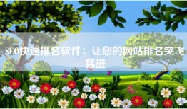 SEO快速排名软件：让您的网站排名突飞猛进