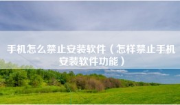 手机怎么禁止安装软件（怎样禁止手机安装软件功能）