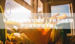 手机怎么去除水印视频（手机怎么去除水印视频教程下载）