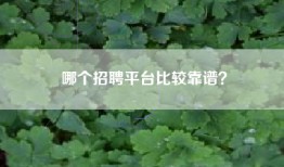哪个招聘平台比较靠谱？