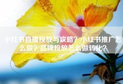 小红书直播投放与攻略？小红书推广怎么做？品牌投放怎么做转化？