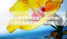 小红书直播投放与攻略？小红书推广怎么做？品牌投放怎么做转化？
