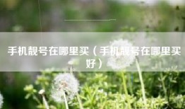手机靓号在哪里买（手机靓号在哪里买好）