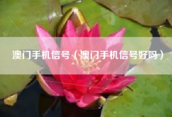 澳门手机信号（澳门手机信号好吗）