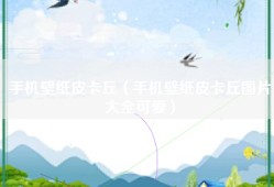 手机壁纸皮卡丘（手机壁纸皮卡丘图片大全可爱）
