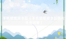 手机壁纸皮卡丘（手机壁纸皮卡丘图片大全可爱）