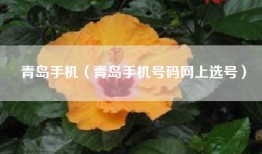 青岛手机（青岛手机号码网上选号）