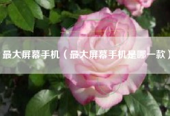 最大屏幕手机（最大屏幕手机是哪一款）