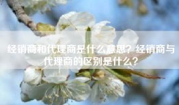 经销商和代理商是什么意思？经销商与代理商的区别是什么？