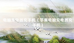 电脑充电器充手机（苹果电脑充电器充手机）