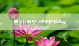微信订阅号小程序推荐商品