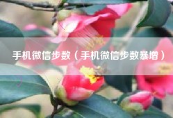 手机微信步数（手机微信步数暴增）