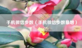 手机微信步数（手机微信步数暴增）