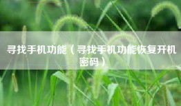 寻找手机功能（寻找手机功能恢复开机密码）