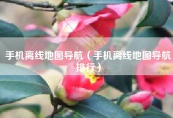 手机离线地图导航（手机离线地图导航排行）