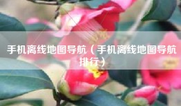 手机离线地图导航（手机离线地图导航排行）