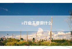 it行业主要做什么