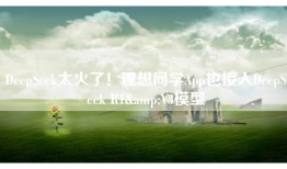 DeepSeek太火了！理想同学App也接入DeepSeek R1&V3模型