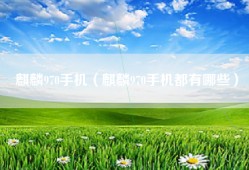 麒麟970手机（麒麟970手机都有哪些）