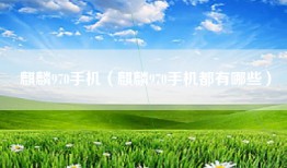 麒麟970手机（麒麟970手机都有哪些）