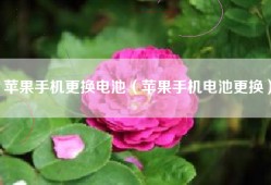 苹果手机更换电池（苹果手机电池更换）
