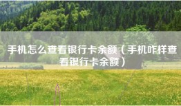 手机怎么查看银行卡余额（手机咋样查看银行卡余额）