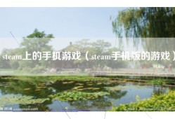 steam上的手机游戏（steam手机版的游戏）