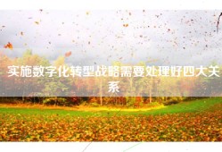实施数字化转型战略需要处理好四大关系