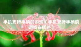 手机支持手柄的游戏（手机支持手柄的游戏有哪些）