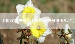 手机连续拨号（手机电话拨号键不见了）