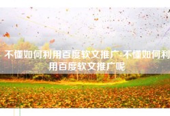 不懂如何利用百度软文推广-不懂如何利用百度软文推广呢