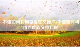 不懂如何利用百度软文推广-不懂如何利用百度软文推广呢