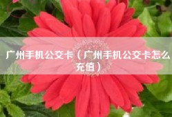 广州手机公交卡（广州手机公交卡怎么充值）