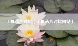 手机芯片对比（手机芯片对比网站）