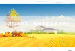 韩国手机壳（韩国手机壳多少钱）