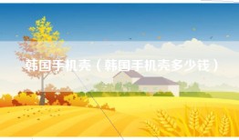 韩国手机壳（韩国手机壳多少钱）