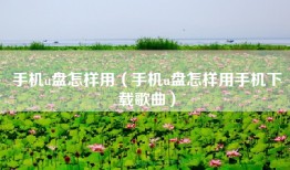 手机u盘怎样用（手机u盘怎样用手机下载歌曲）