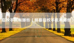 指纹手机有哪些（屏幕指纹手机有哪些）