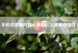 手机咋清理内存（手机怎么样清理内存）