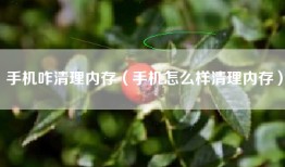 手机咋清理内存（手机怎么样清理内存）