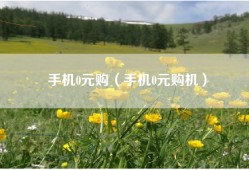 手机0元购（手机0元购机）