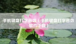 手机键盘打字音效（手机键盘打字音效软件下载）