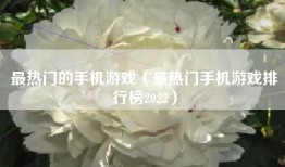 最热门的手机游戏（最热门手机游戏排行榜2022）