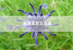 未成年怎么贷款