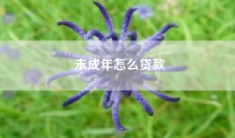 未成年怎么贷款