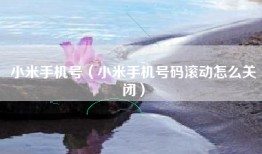 小米手机号（小米手机号码滚动怎么关闭）
