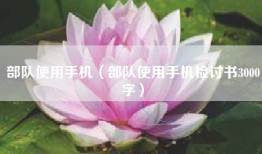 部队使用手机（部队使用手机检讨书3000字）