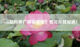 wifi贴码推广哪家靠谱？看完你就知道！