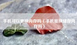 手机可以更换内存吗（手机能换储存内存吗）