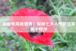 赋能电商新境界：探秘七大人气微信商城小程序